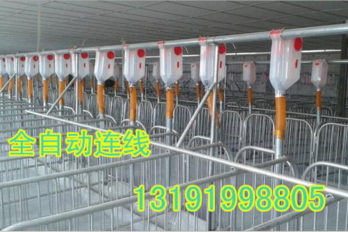 大小型豬舍均可安裝自動化下料線，提升養豬效率與經濟效益