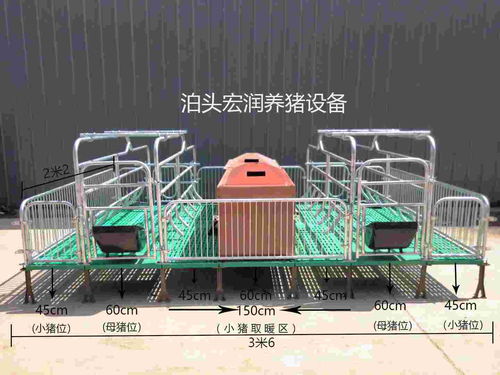 泊頭市宏潤養豬設備廠 專業打造高效養豬設備，助力現代養殖發展