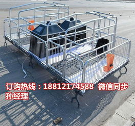 養(yǎng)豬設(shè)備專業(yè)制造商 定西豬產(chǎn)床批發(fā)與雙體豬產(chǎn)床優(yōu)勢(shì)解析