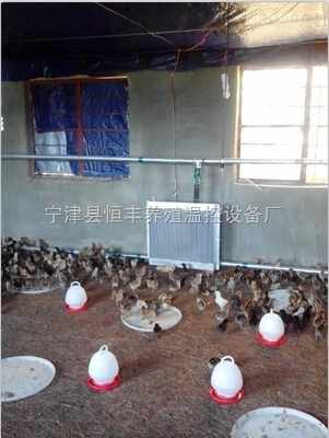 山東寧津養(yǎng)豬調(diào)溫鍋爐 打造高效節(jié)能的現(xiàn)代養(yǎng)殖供暖新選擇